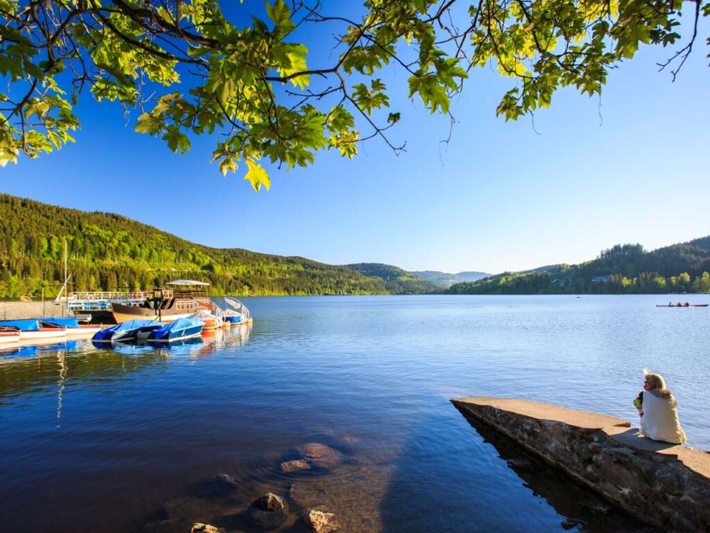 Ihr Zuhause im Südschwarzwald: 3 Tage Kurzurlaub mit Therme und Natur