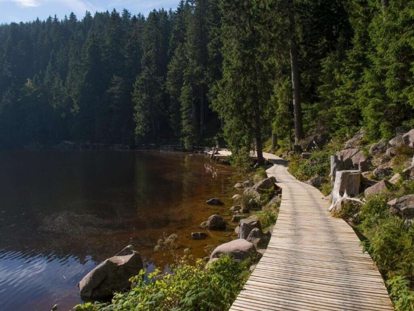 Herbst im Schwarzwald