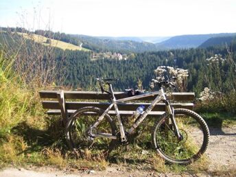 Herbst im Schwarzwald