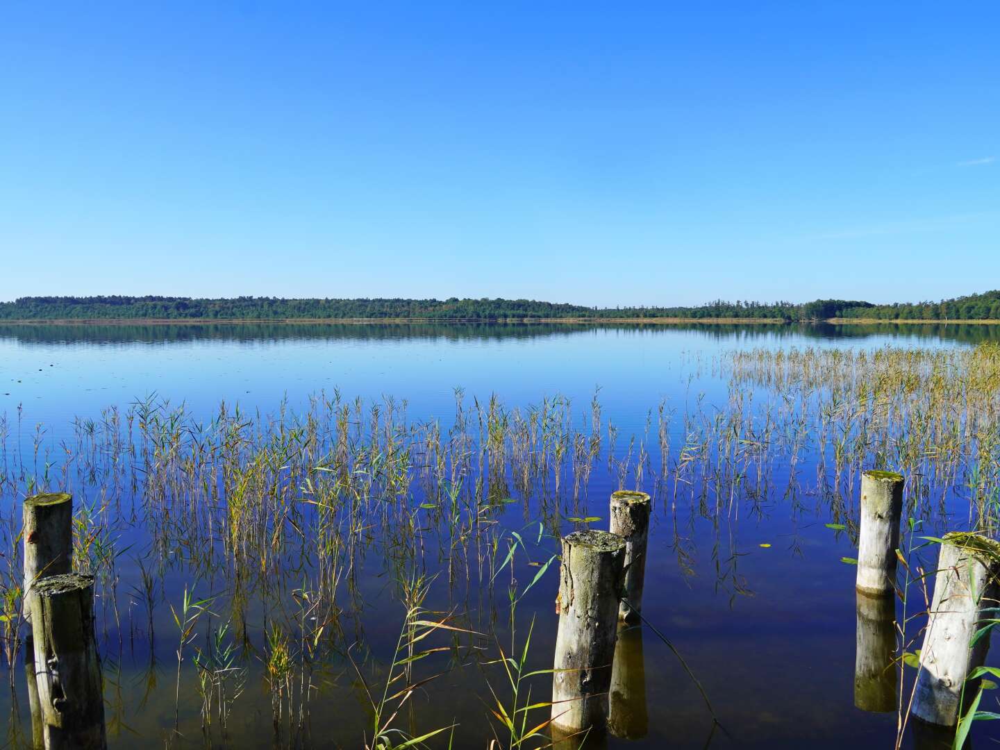 Seenplatte aktiv erkunden inkl. Leihfahrrad