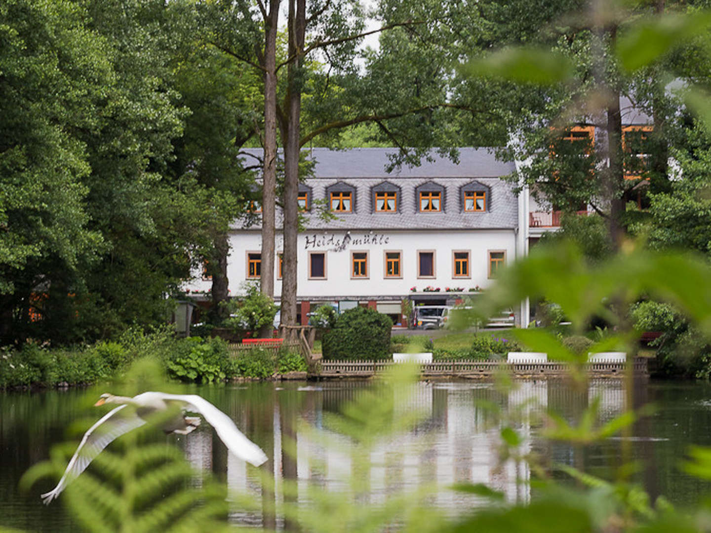 Eifel - Wandertage im Liesertal inkl. HP und Lunchpaket