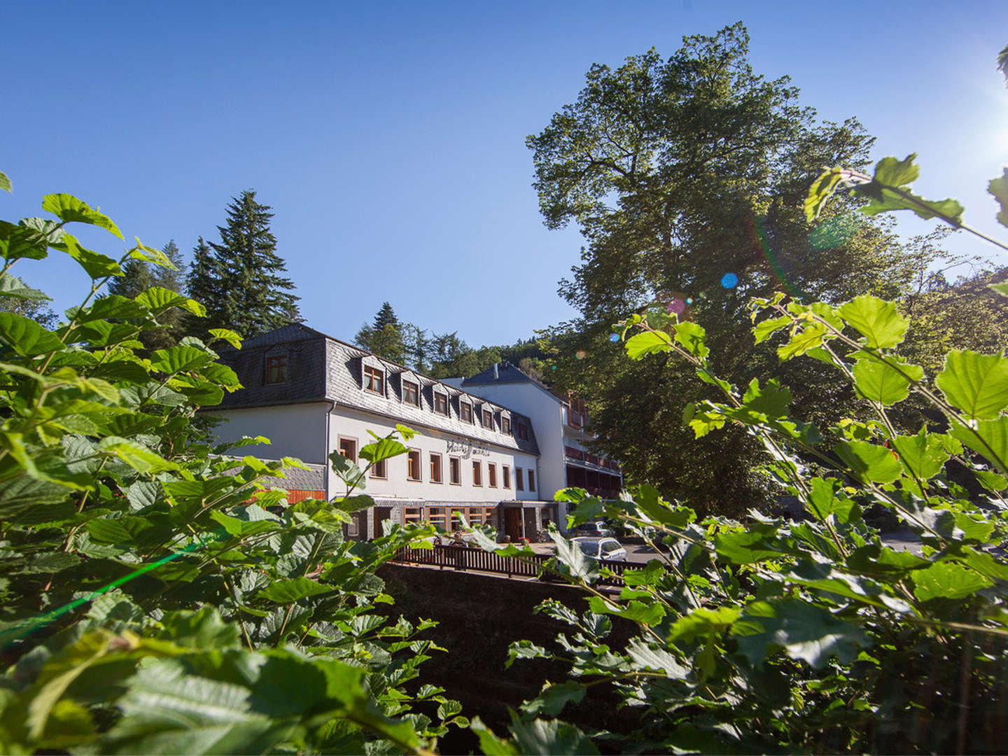 Vulkan-Wellness in der Eifel inkl. Schlemmermenü & Massage