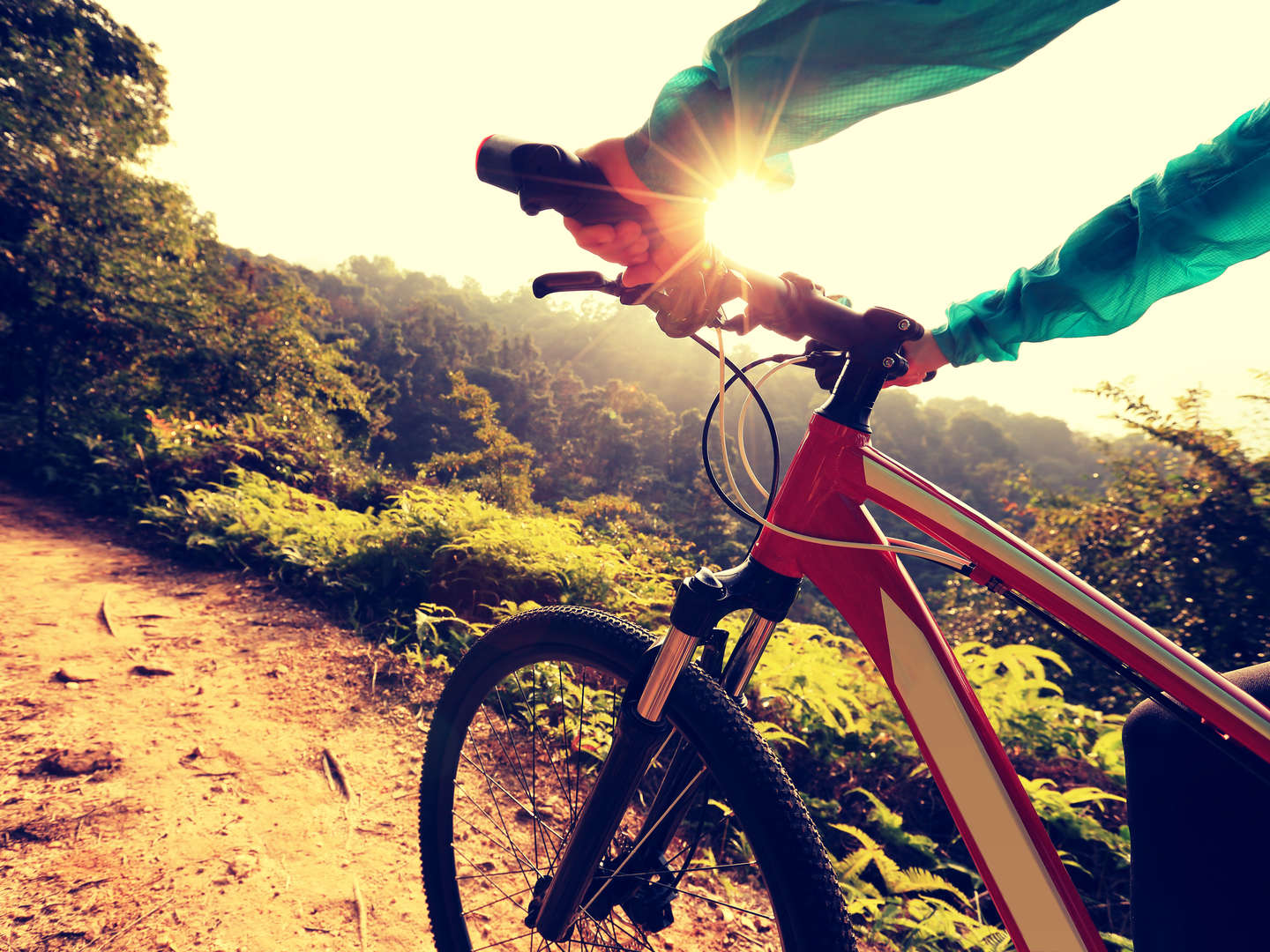 1 Fahrrad und 4 Premiumtouren | 8 Tage an die Mosel inkl. 3-Gang-Menü  