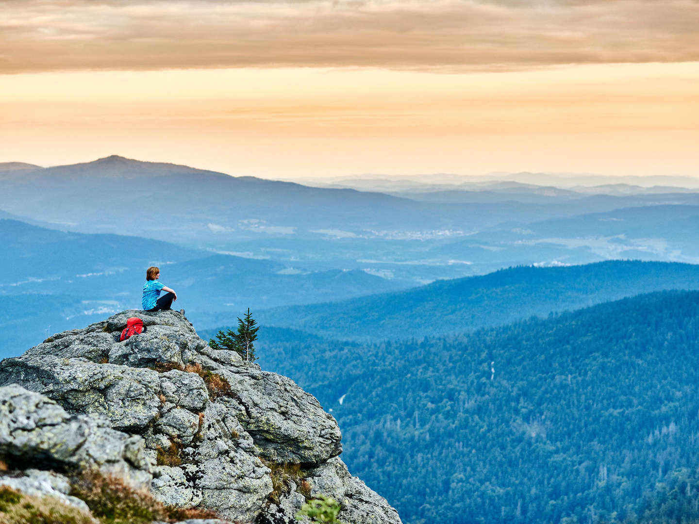 Baumwipfelpfad im Bayerischen Wald erklimmen inkl. Halbpension | 6 Tage