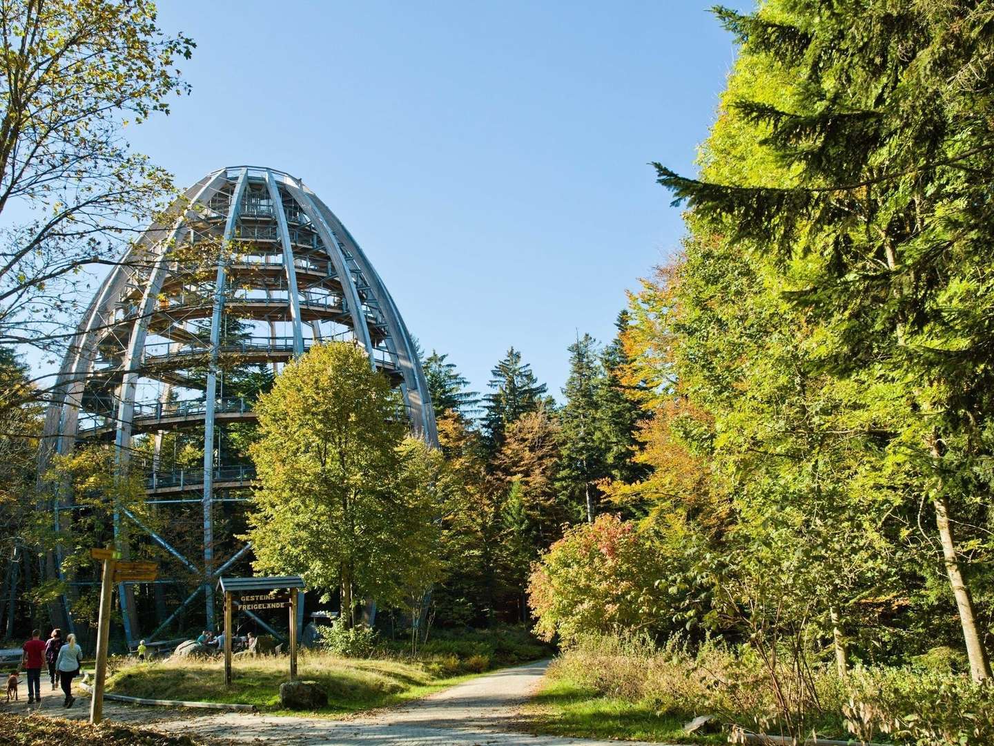 Baumwipfelpfad im Bayerischen Wald erklimmen inkl. Halbpension | 3 Tage