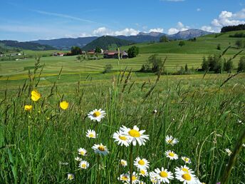 Romantische Auszeit im Allgäu