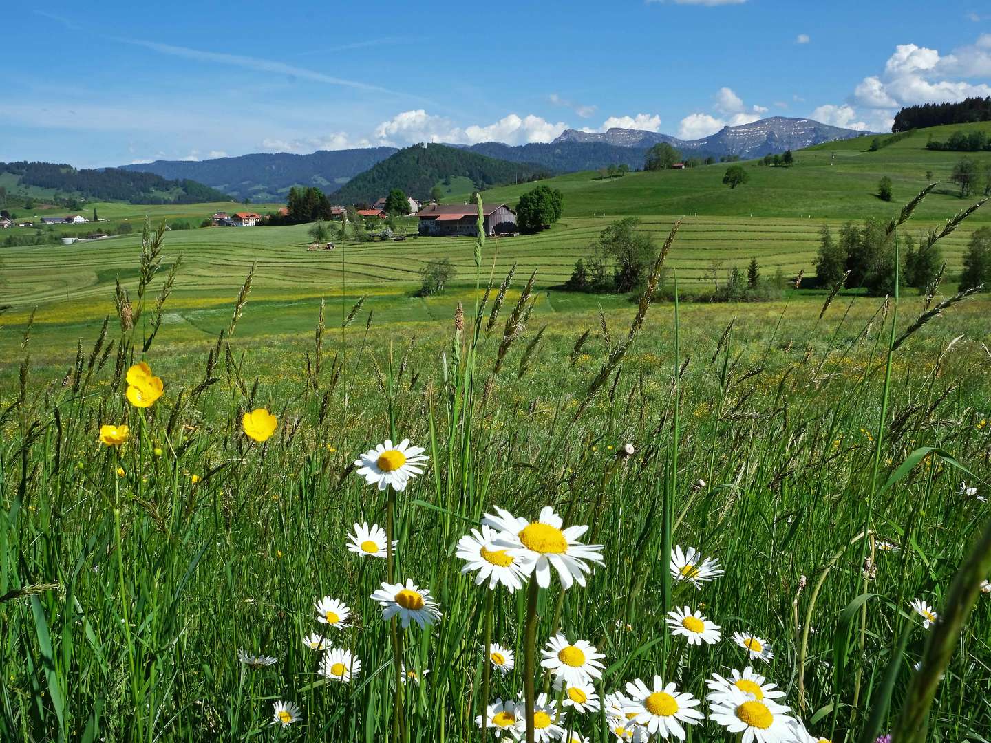 AusZEIT im Allgäu