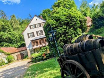 Genießer Urlaub- 2 Tage im Silberbachtal im Teutoburger Wald