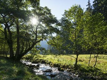 Freie Fahrt mit d. Kabinenbahn an Ostern | 4 Tage inkl. Spa