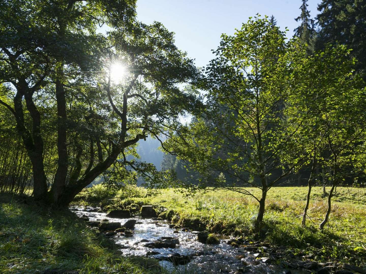 Kurz mal raus ins Sauerland | 3 Tage