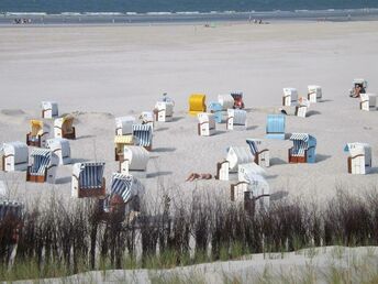 Nur zum mal raus ... 8 Nordsee- Erlebnistage... auf der autofreien Insel Juist