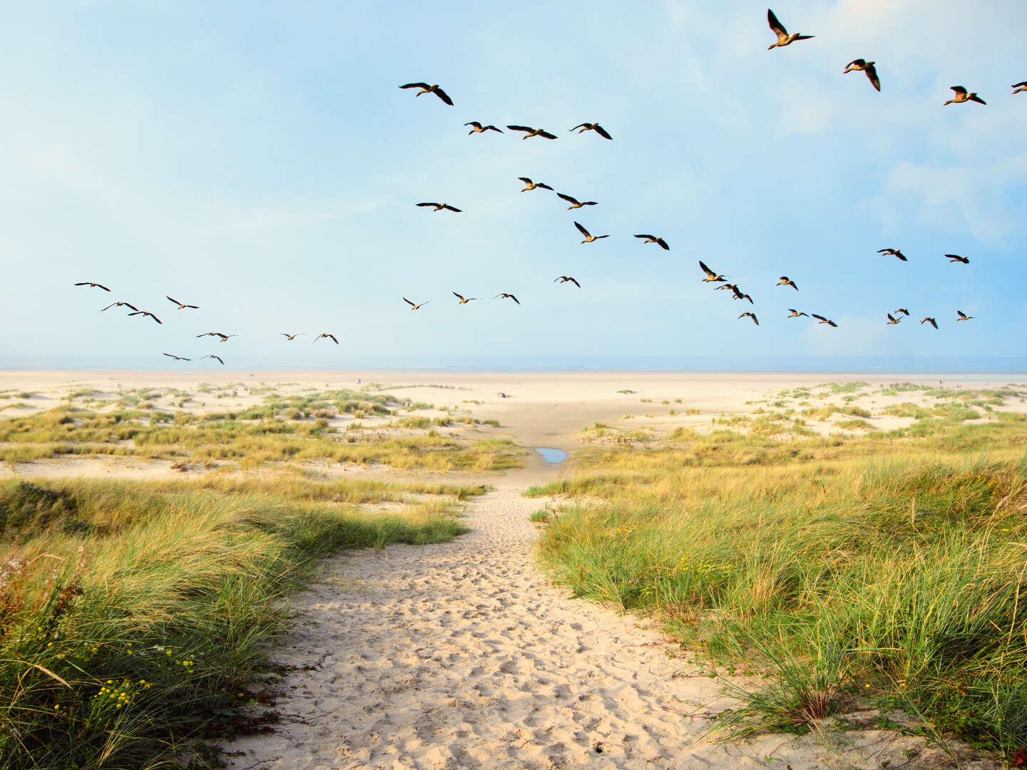 Für 5 Winter- Tage an die Nordsee auf die schöne Insel Juist