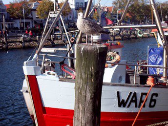 Winterauszeit in Warnemünde  