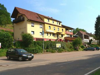 Eine Woche 7 Übernachtungen im Sagenhafter Odenwald  - Nähe Michelstadt und Heidelberg 