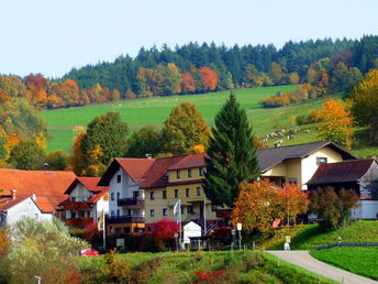  “Auf den Spuren von Burgen und Schlösser“  im romantischen Odenwald inkl. HP