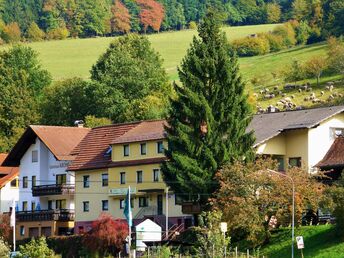 Eine Woche 7 Übernachtungen im Sagenhafter Odenwald  - Nähe Michelstadt und Heidelberg 