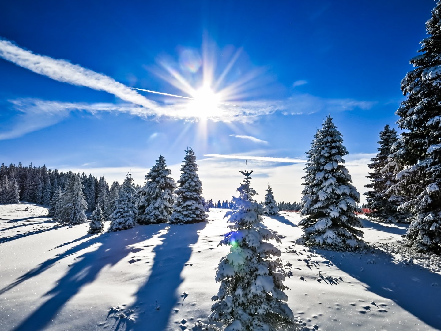 Winter-Spezial im Schwarzwald