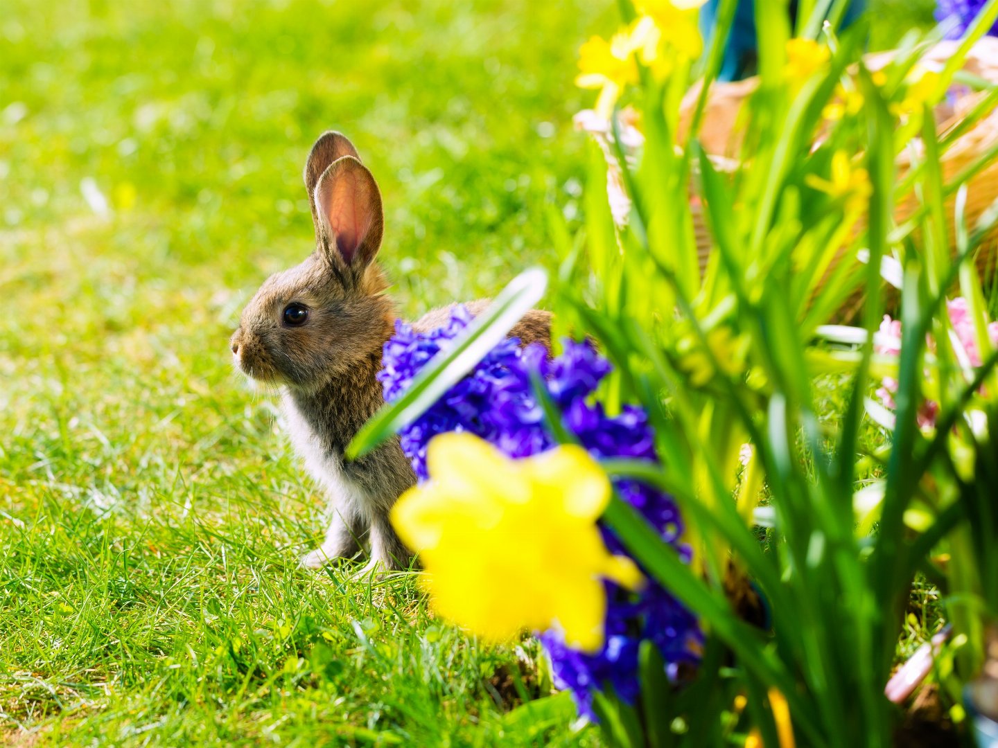 Ostern im Schwarzwald