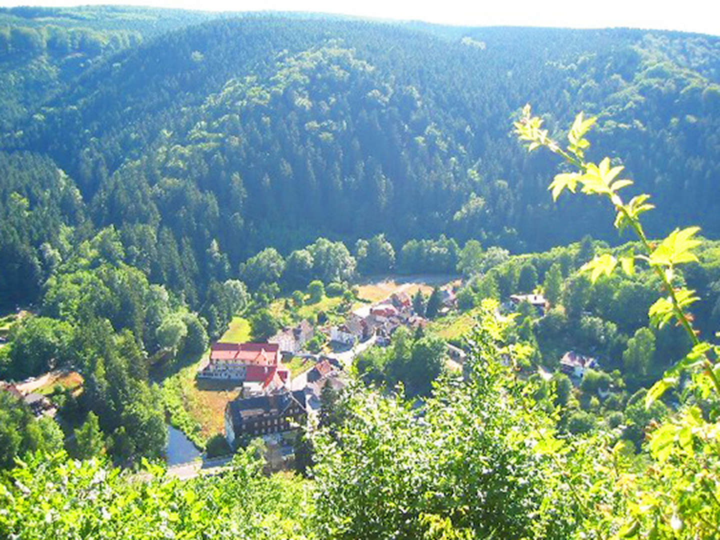 4 Tage den Harz erleben! inkl. Halbpension 