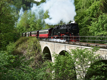 8 Tage den Harz erleben! inkl. Halbpension  