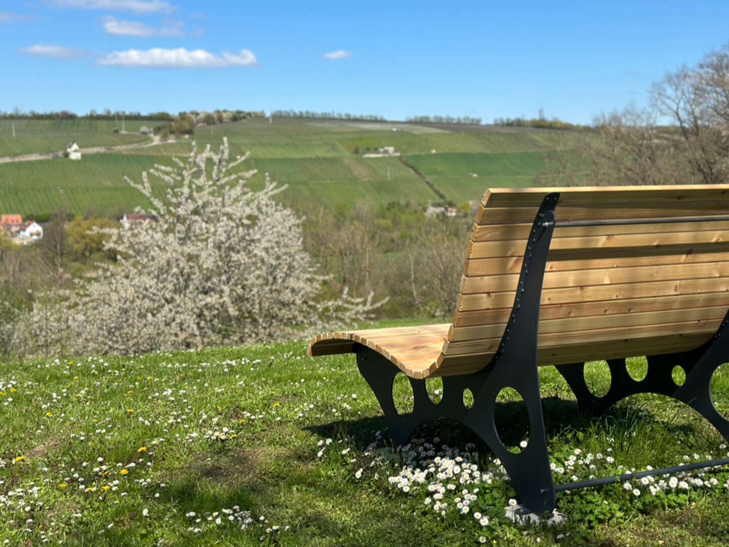 Fränkisches Weinland kennen lernen - Urlaub im Grünen 