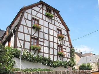 Mosel Romantik in den Weinbergen inkl. Moselüberfahrt