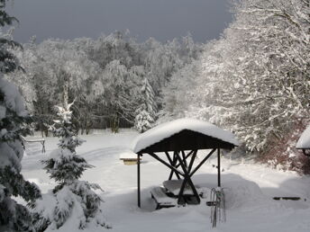 Winterliche Entdeckerreise - 4 Tage im Harz 