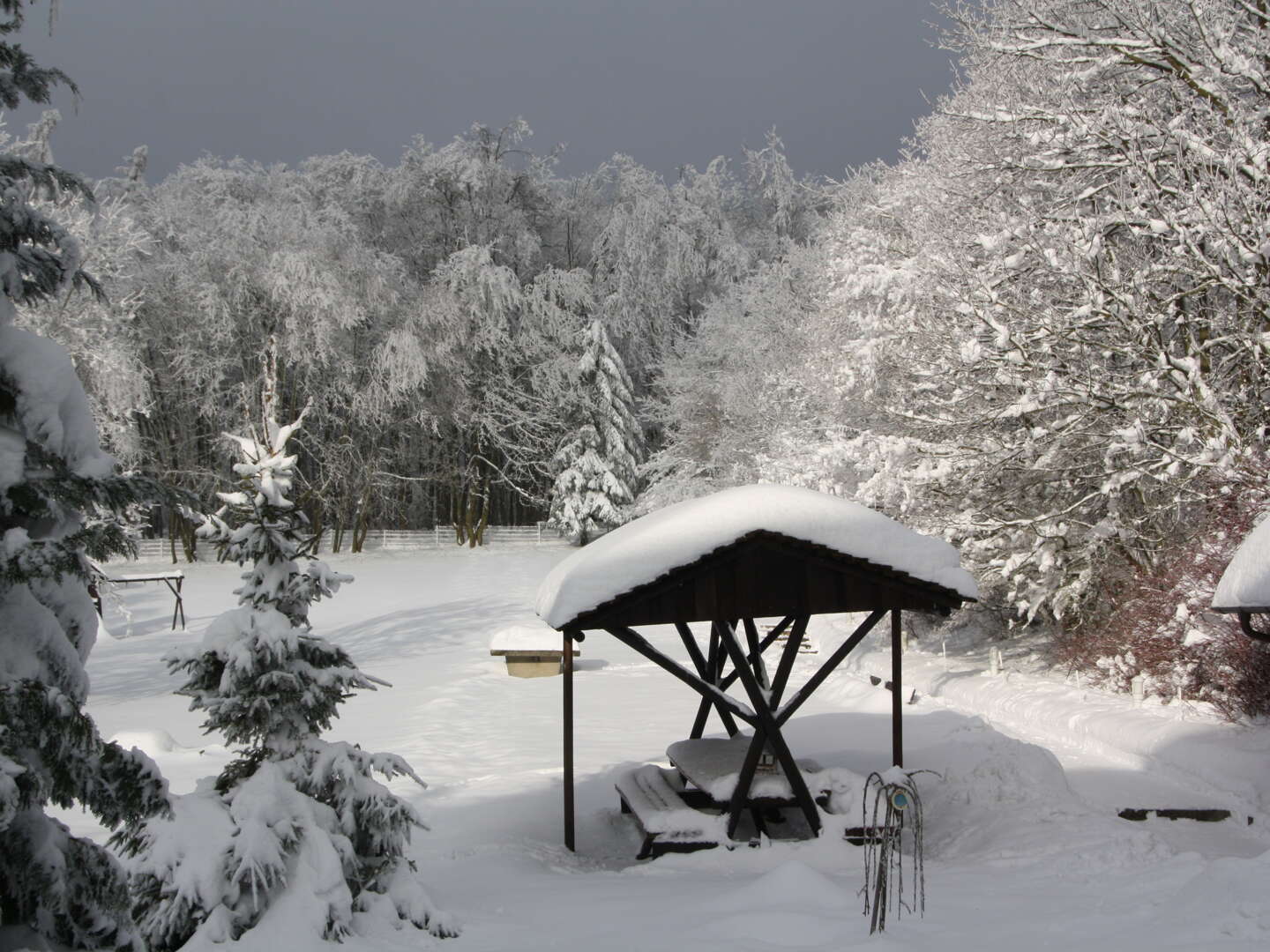 Weihnachts-Traum im Harz