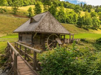 3 Tage den südlichen Schwarzwald genießen