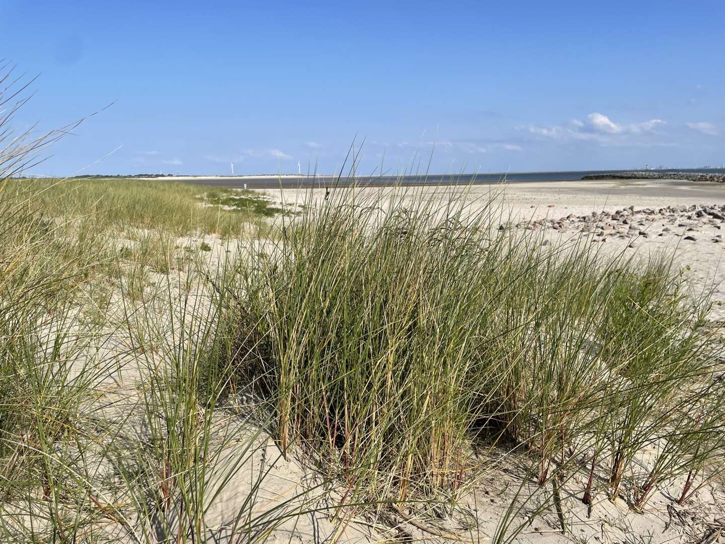 5 Tage Meer- Entspannung auf der Ostfriesischen Insel Borkum