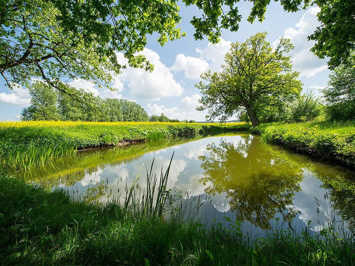 Landhotel Genießer-Tage am Teutoburger Wald inkl. Abendessen | 3 Tage