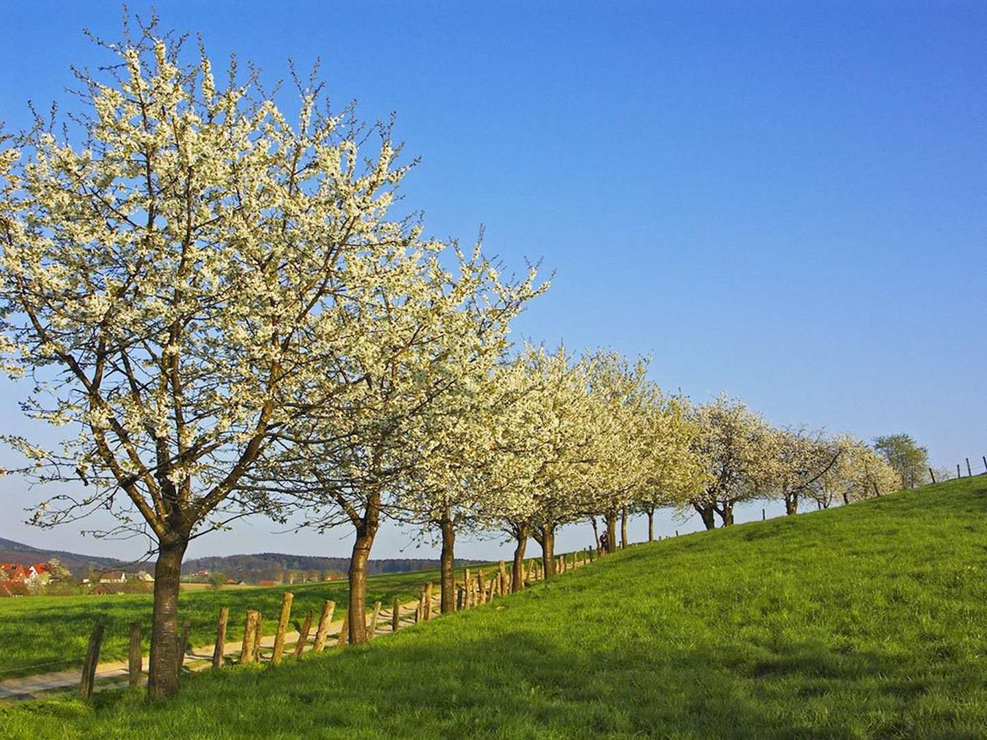 Landhotel Genießer-Tage am Teutoburger Wald inkl. Abendessen | 3 Tage