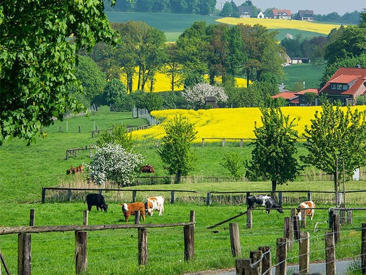 4 Tage Herbstlaub am Teutoburger Wald 