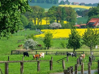 Sommerzeit in der Teutoburger Wald Region im Ringhotel Landhotel Buller | 2 Nächte