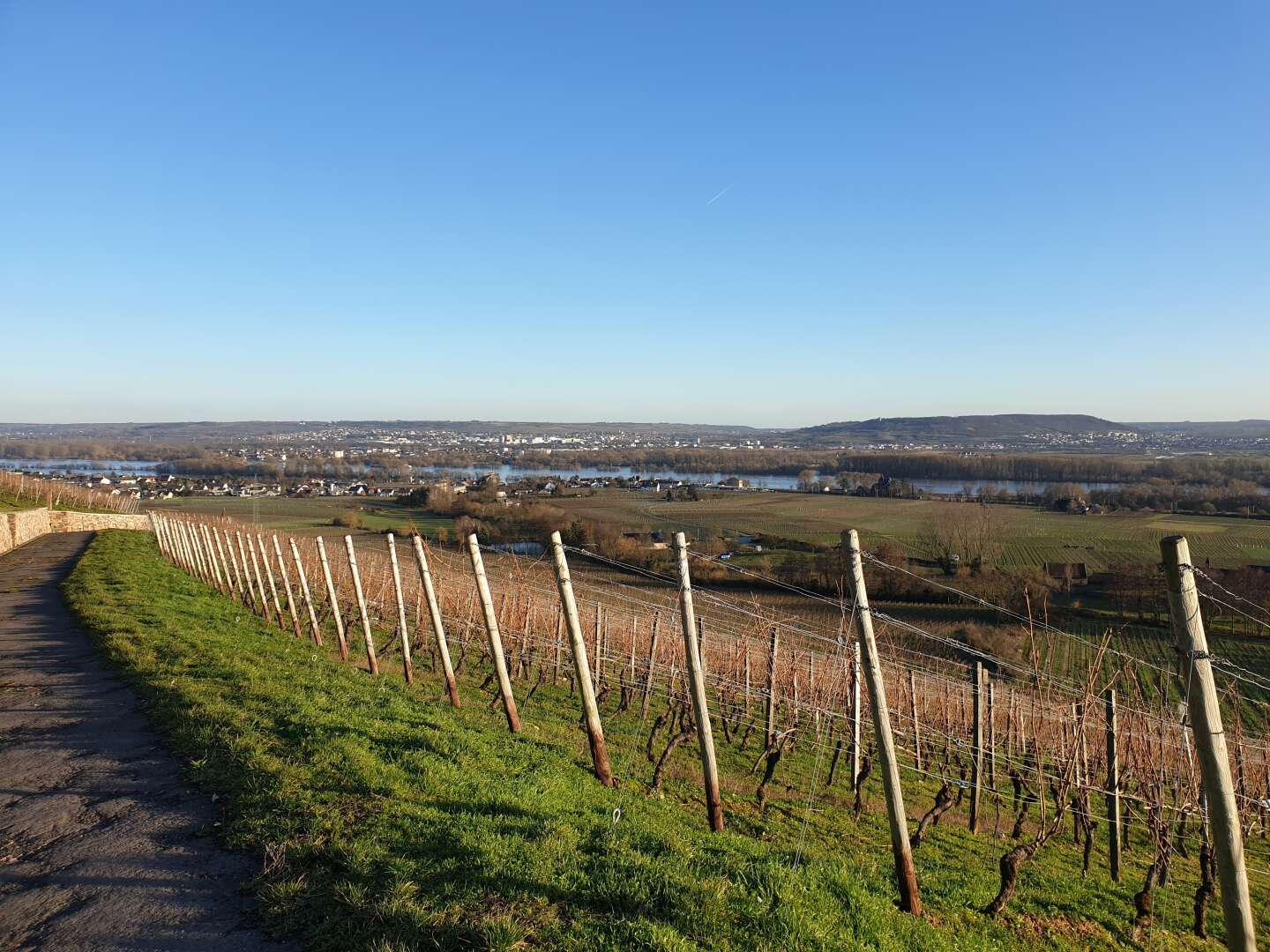 Winterzeit im Rheingau! - 3 Tage im Rheingau