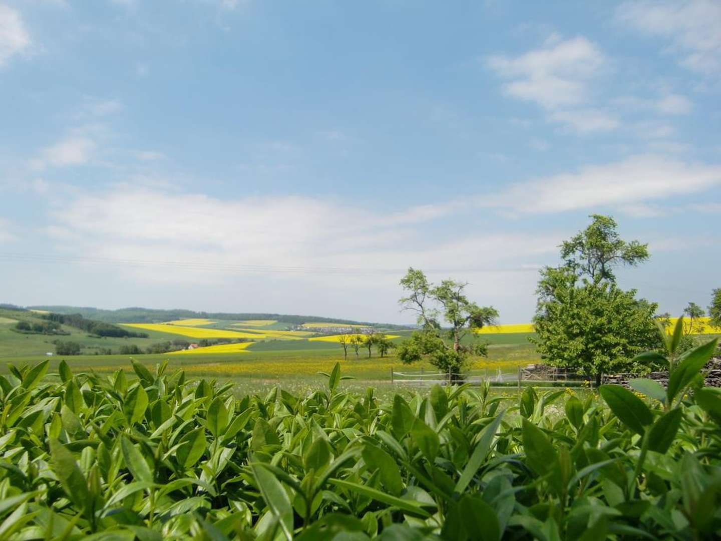 4 Tage Landromantik / Urlaub in Rheinland-Pfalz inkl. Halbpension