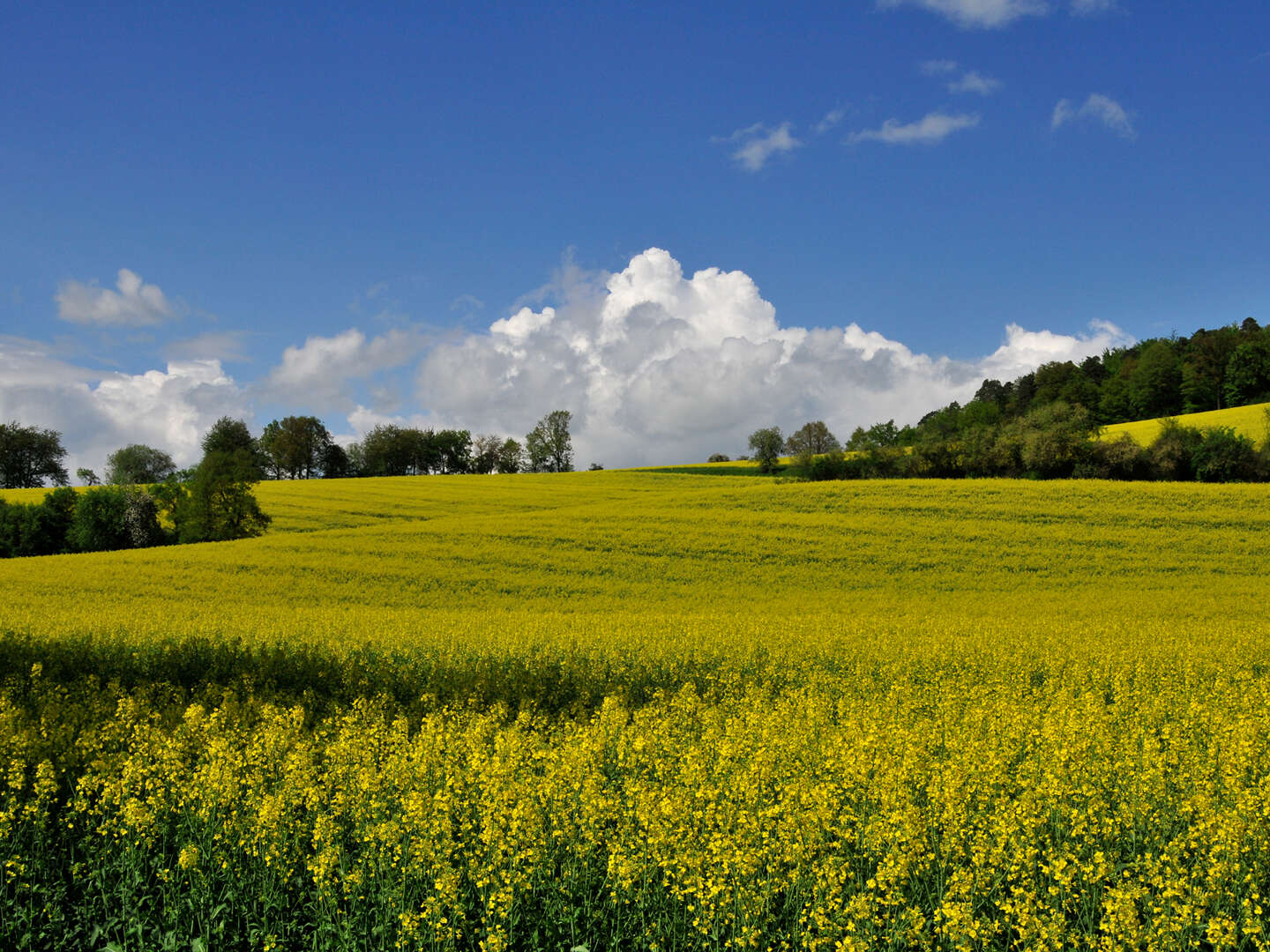 3 Anti-Stress Tage im Rotkäppchenland in Hessen inkl. Halbpension