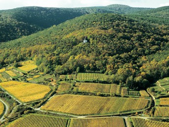 Genießertage in der Pfalz inkl. 5-Gang-Menü & Champagner