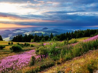 Unser Rhön-Wanderarrangement für Naturliebhaber  7 Tage 