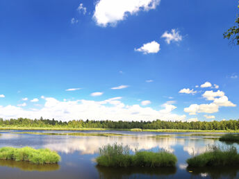 Kennenlernen der Ölmühle an der Elbe