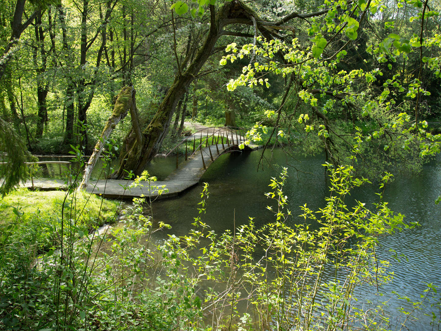 4 Tage Ostern in Thüringen im Naturpark Eichsfeld inkl. Eintritt in den Bärenpark Worbis