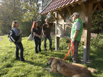 Wandern zwischen Teutoburger Wald & Weser Bergland 