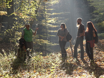 Silvester auf dem Sternberg zwischen Teutoburger Wald & Weserbergland 