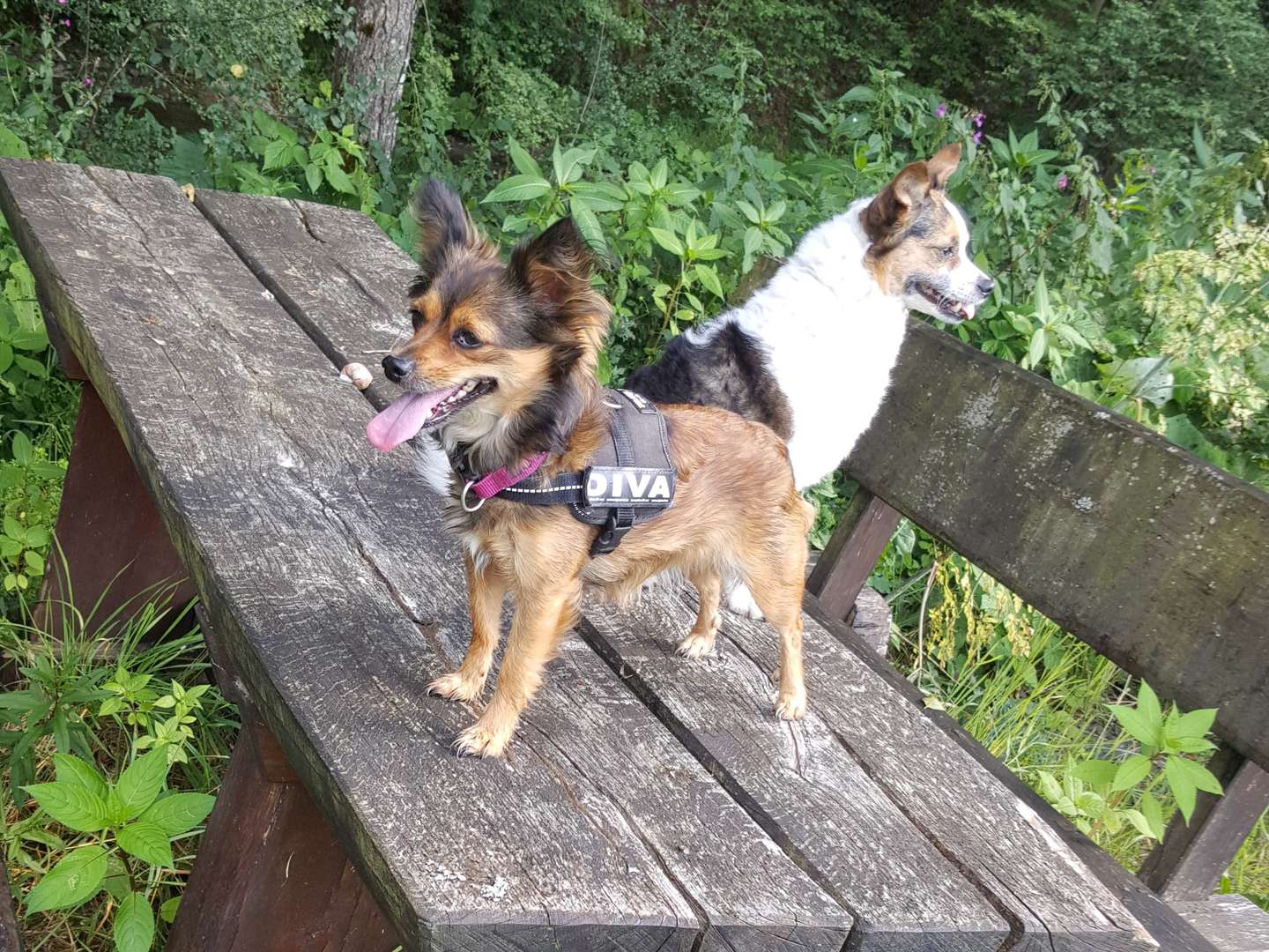 Urlaub für Kurzentschlossene zwischen Teutoburger Wald & Weser Bergland