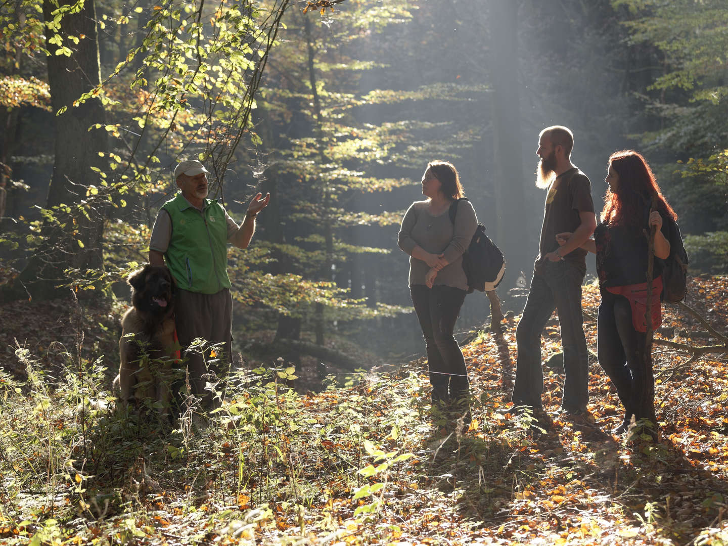 Urlaub für Kurzentschlossene zwischen Teutoburger Wald & Weser Bergland