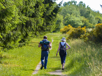 Urlaub zwischen Weser Bergland & Teutoburger Wald 