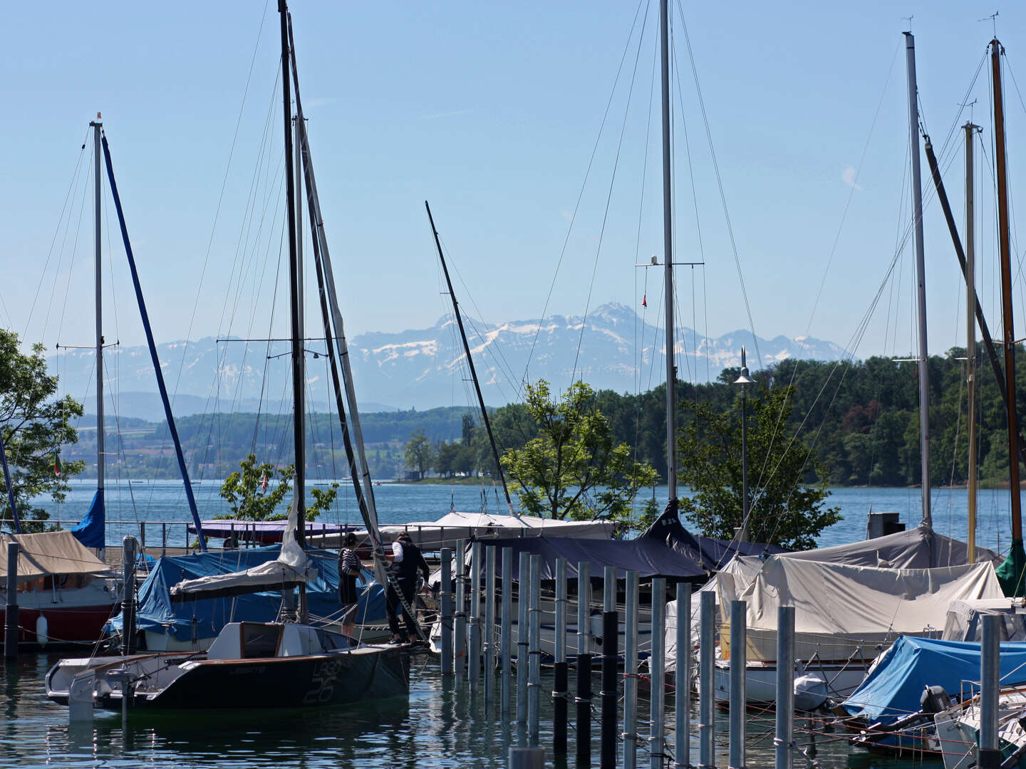 Bodensee-Wintergenuss - 3 Tage am Bodensee