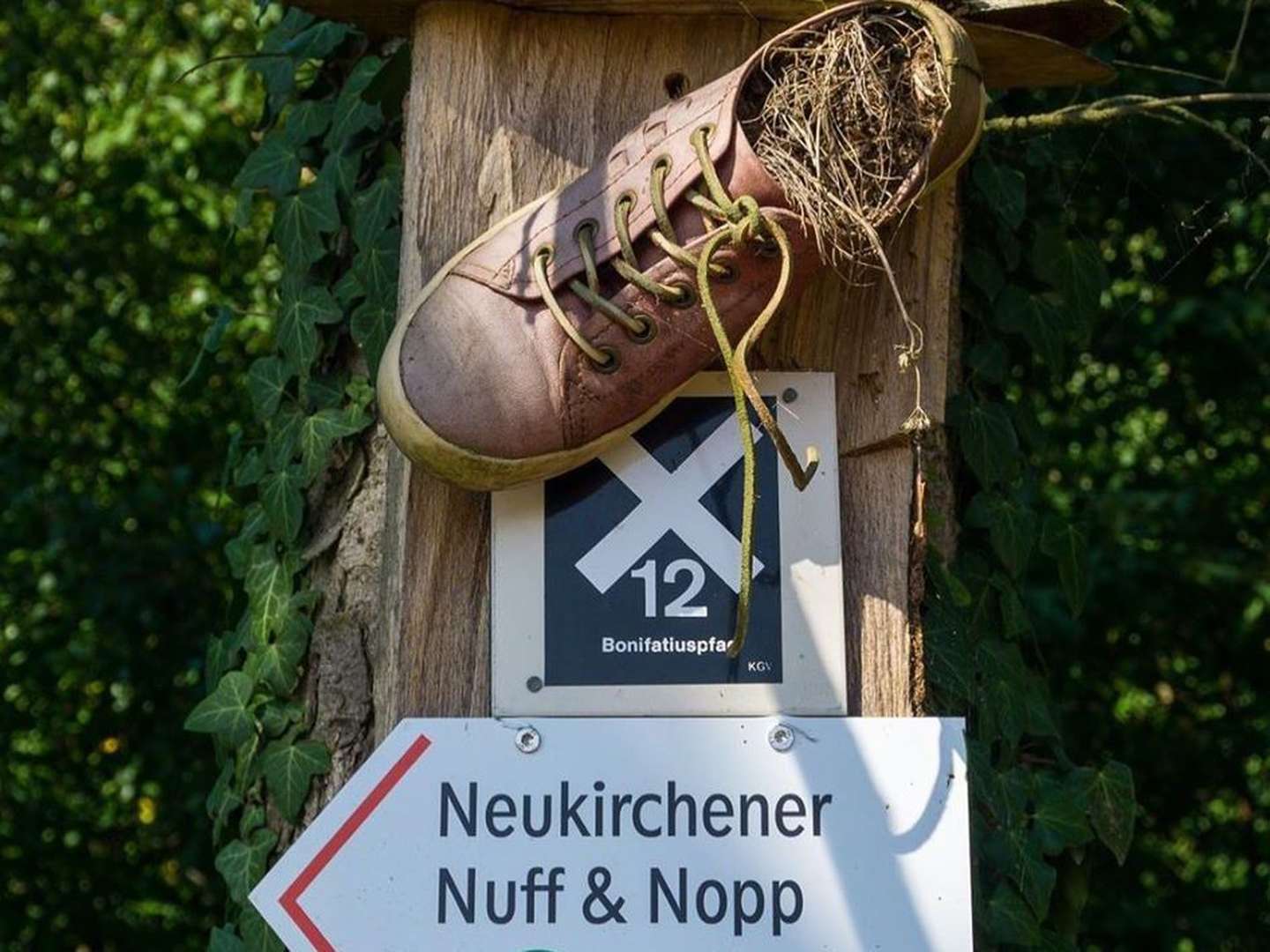 Schnupper-Arrangement im Naturpark Knüll