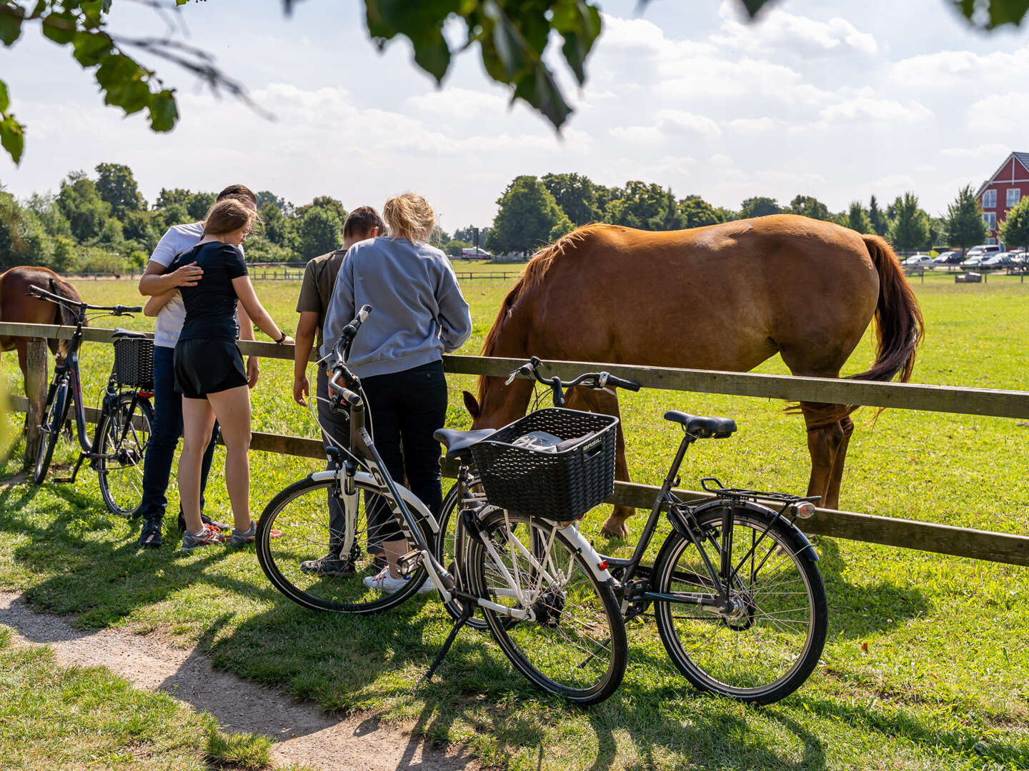 Ostsee-Radeln inkl. Leihfahrrad & Massage