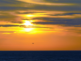 Die Faszination Herbst in Zingst erleben